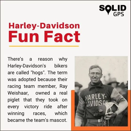 Why Harley-Davidson Bikers Are Called Hogs Infographic with a fun fact explaining why Harley-Davidson bikers are called hogs